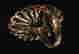 item-136226218=5