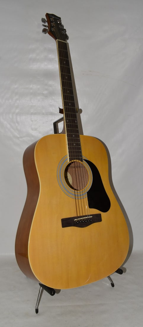 SILVERTONE PRO /DREADKNOT GUITAR MODEL #SZ3000PKN (1 of 10)