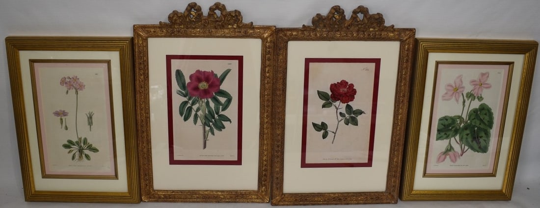 LOT (4) EARLY BOTANICAL PRINTS, 18TH C. (1 of 15)