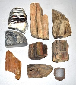 LOT ASSORTED PETRIFIED WOOD/MINERALS