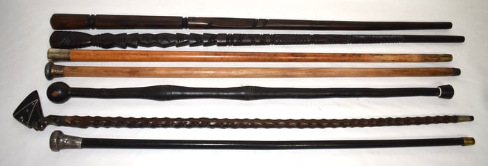 LOT (7) ASSORTED WALKING STICKS/CANES, 19/20TH C.