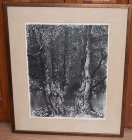 LITHO THE SAME TREE TWICE SIGNED WALTER DUBOIS RICHARDS