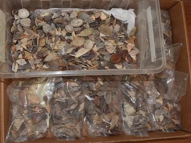 LARGE LOT ASSORTED FLINT/QUARTZ BIRD POINTS