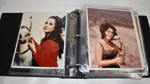 APPROX. (92) LIZ TAYLOR COLOR GLOSSY PHOTOGRAPHS