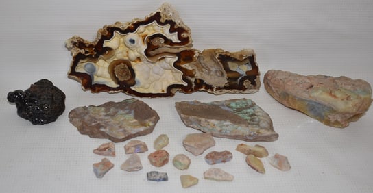 ASST MINERALS INCL. RAW OPAL/TAMPA BAY AGATIZED CORAL