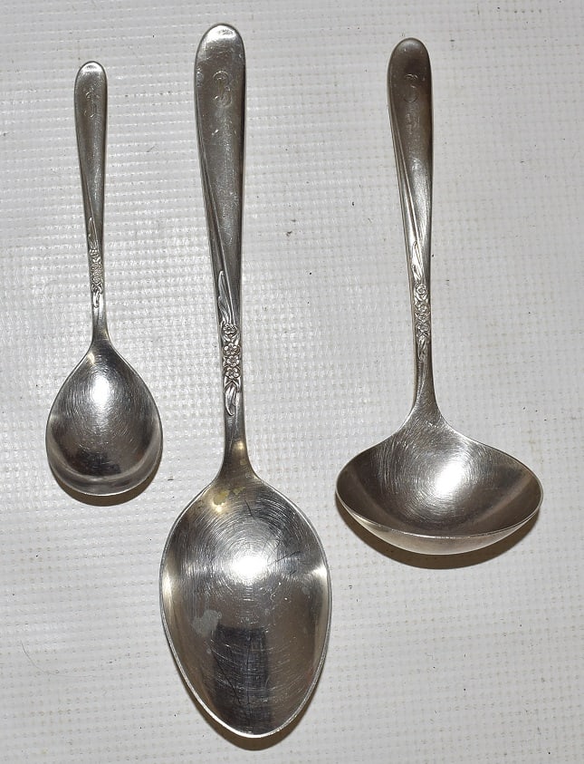 SERVICE (12) TOWLE STERLING SILVER SPRAY PATTERN - 6