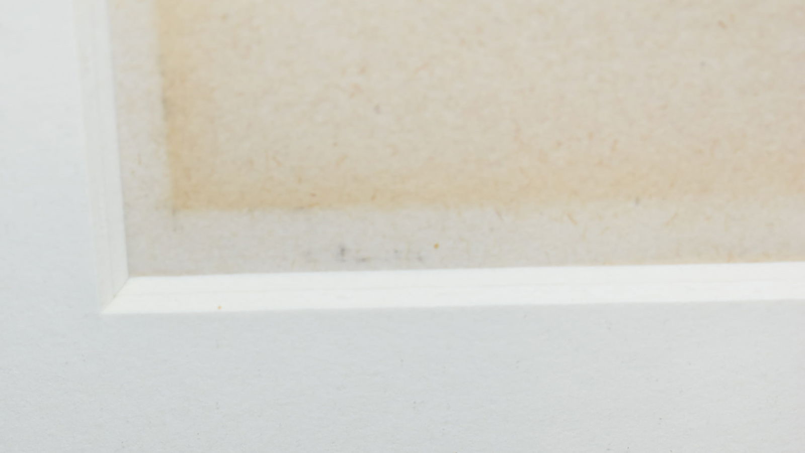 ETCHING, PICASSO, PLATE 9" X 12" - 4