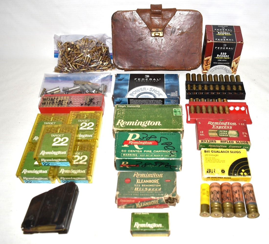 LOT ASSORT AMMO INCL. 22 CAL, 222, 243, 38 SPECIAL, ETC (1 of 8)