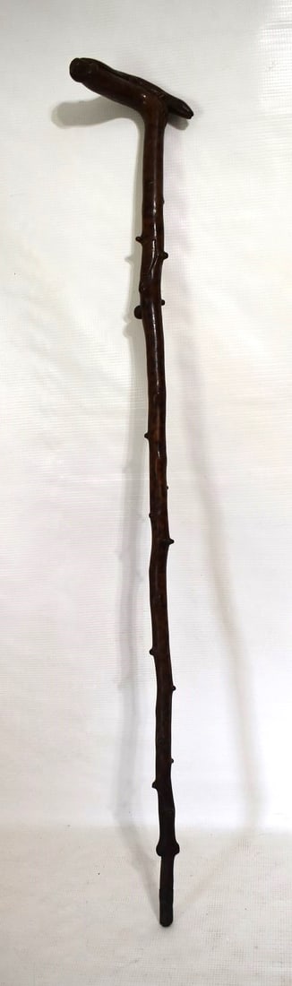 EARLY FOLK ART CARVED DRAGON LIZARD WALKING STICK/CANE: EARLY FOLK ART CARVED DRAGON LIZARD WALKING STICK/CANE W/CHERRIES, 19TH C., L. 35"
