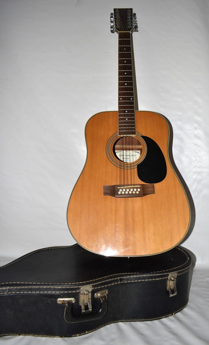 NEW YORK PRO 12 STRING ACOUSTIC GUITAR, C. 2000 (1 of 7)