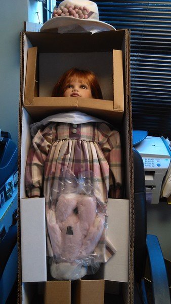 NIB Turner Dolls: Sage with certificate of authenticity (1 of 3)