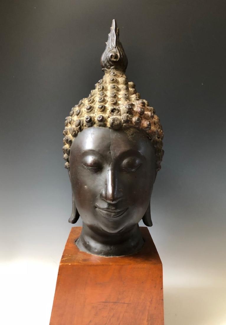 A LARGE THAI ANTIQUE HEAD OF BUDDHA.18TH: A LARGE THAI ANTIQUE HEAD OF BUDDHA . 18TH. PROVENANCE - MARYLAND ESTATE. H: 53.5cm