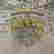 item-76929518=6