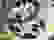 item-77003410=7