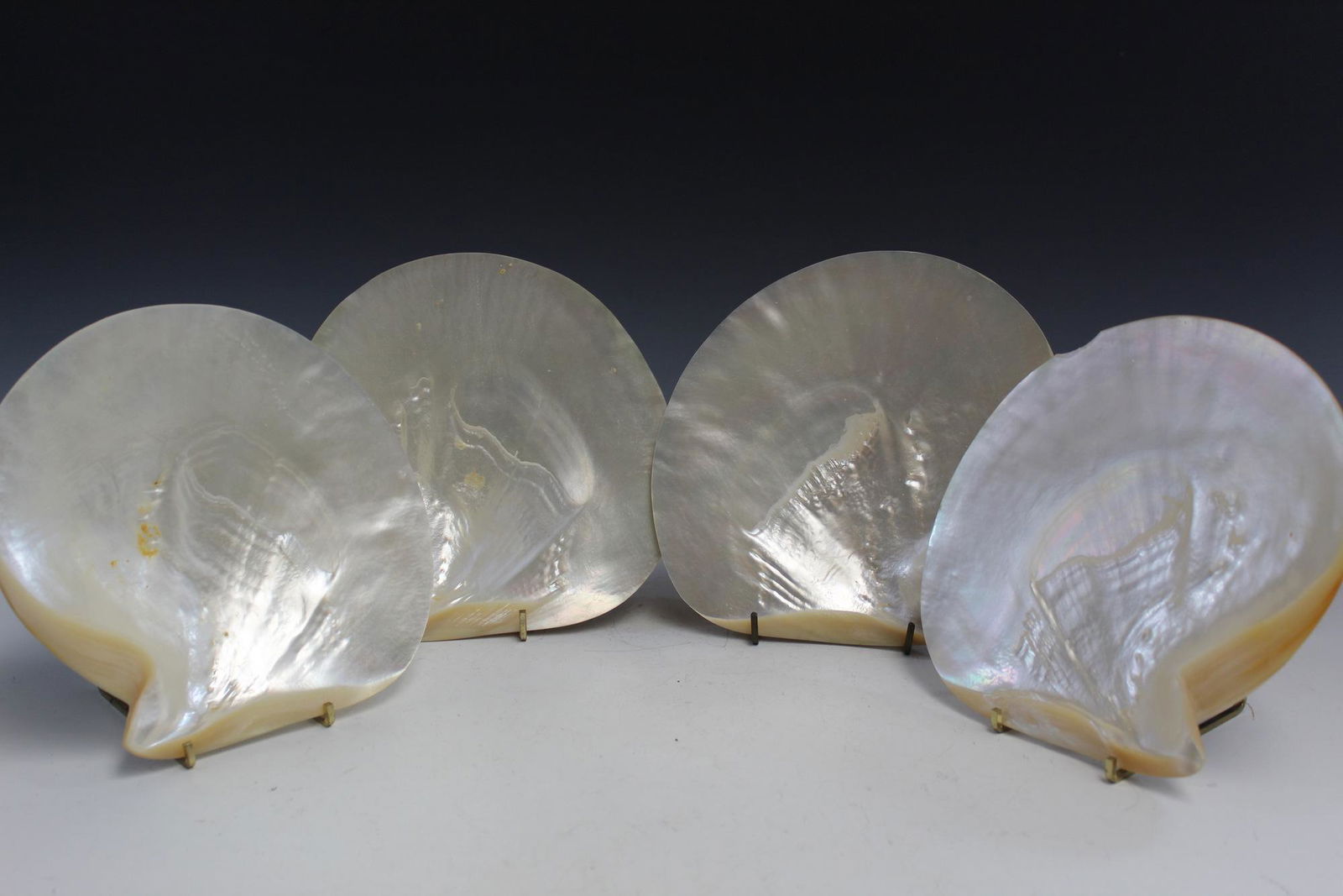 4 Mother-of-pearl Shell Dishes. (1 of 4)