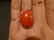 HUGE RARE CHINESE DEEP RED CORAL CABOCHON RING 14K GOLD - 8