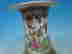 item-34689281=8
