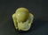 ANTIQUE CHINESE CARVED IVORY BUDDHA 19TH CENTURY - 8