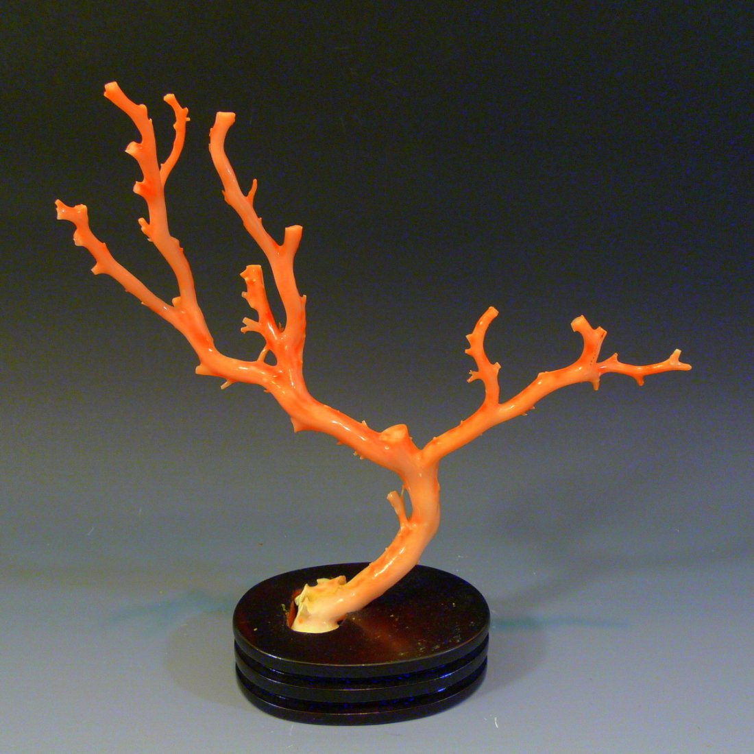 LARGE IMPRESSIVE NATURAL PINK SALMON CORAL BRANCH (1 of 9)