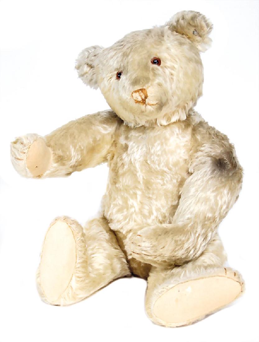 STEIFF bear, white, 50 cm, '30s, with button, long (1 of 3)