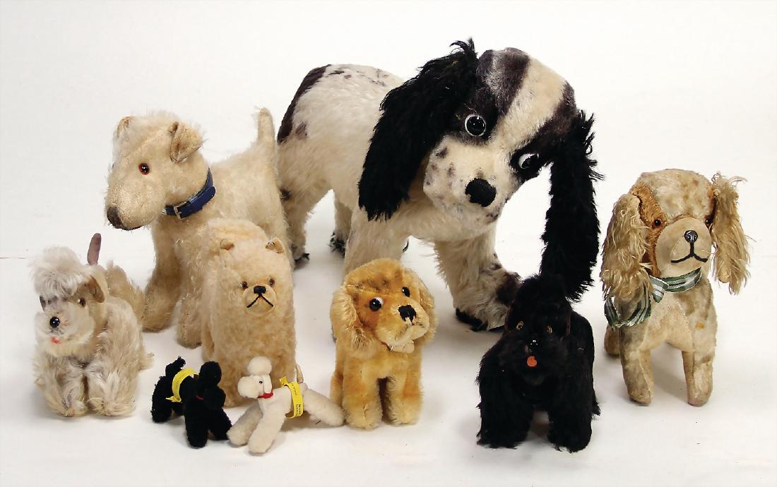 Meist STEIFF Konv. 9 Plüsch-Hunde, darunter Spitz: Meist STEIFF Konv. 9 Plüsch-Hunde, darunter Spitz mit Knopf, Revue Susi, ohne Knopf u. Fahne, 2x Pudel, mit Knopf u. Fahne German Description Meist STEIFF Konv. 9 Plüsch-Hunde, darunter Spit