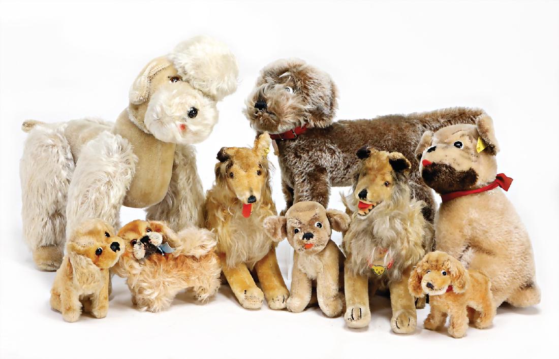 STEIFF 9 Hunde, einige mit Knopf und Fahne, bespielt: STEIFF 9 Hunde, einige mit Knopf und Fahne, bespielt German Description STEIFF 9 Hunde, einige mit Knopf und Fahne, bespielt