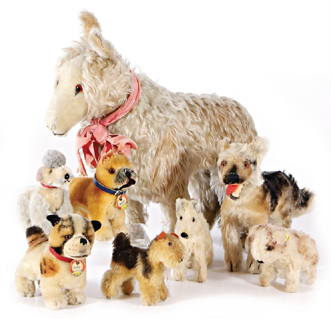 Konv. Hunde, meist Steiff, Boxer mit Schild ohne Knopf, (1 of 1)