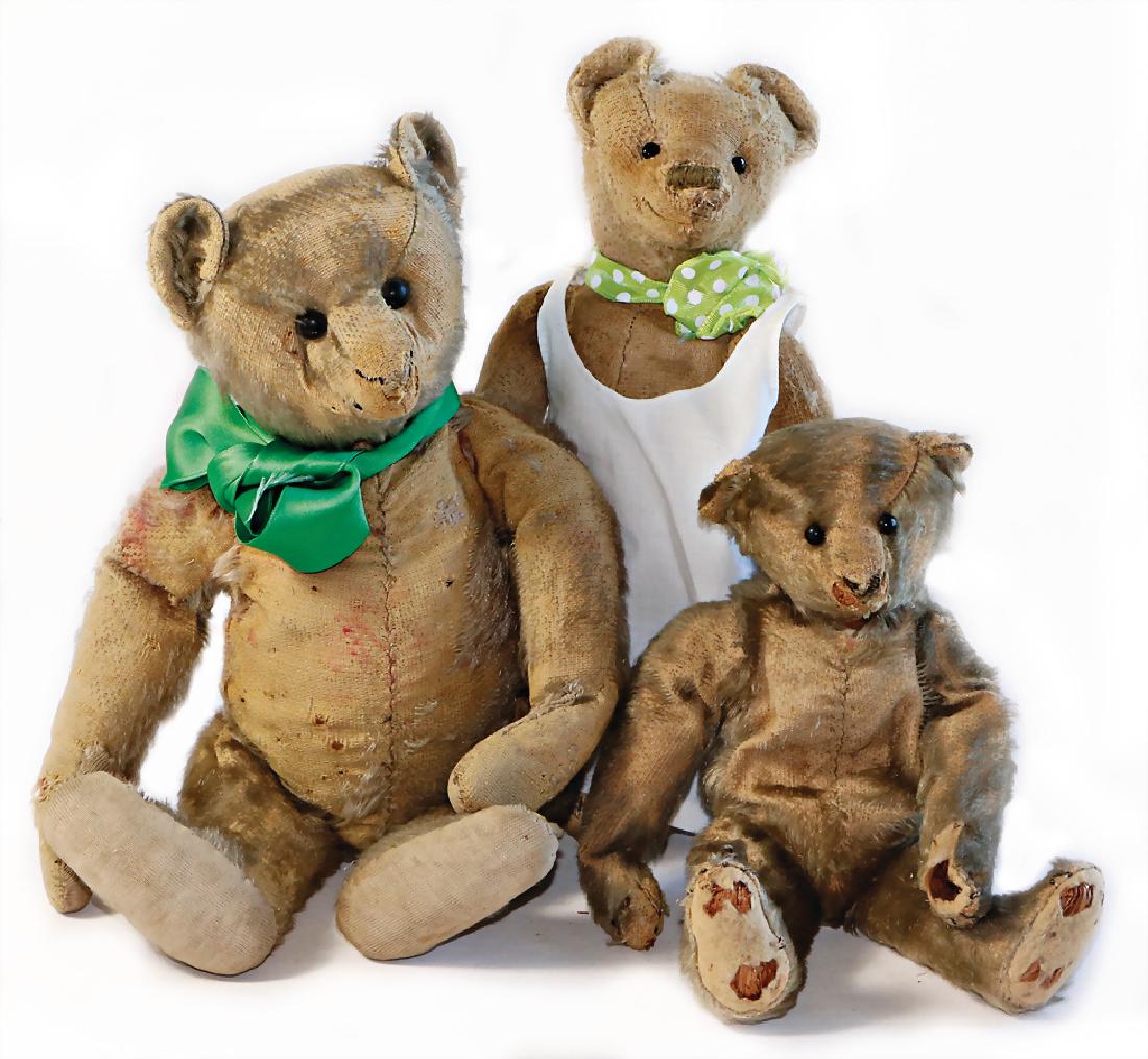 STEIFF 3 bears, c. 1915, 23 - 32 cm, shoe button eyes, (1 of 1)