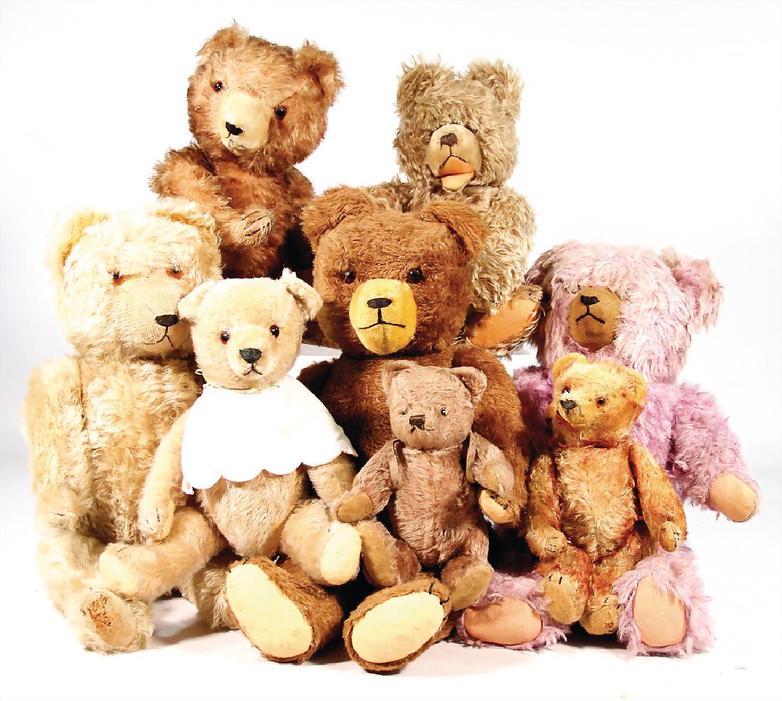 Konv. 8 Plüsch-Bären, versch. Hersteller, bespielt, (1 of 1)