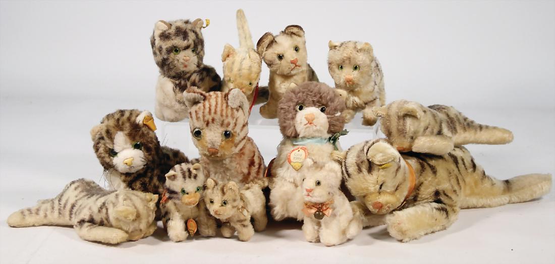 STEIFF Konv. 12 Katzen, bespielt, darunter weich u. (1 of 1)