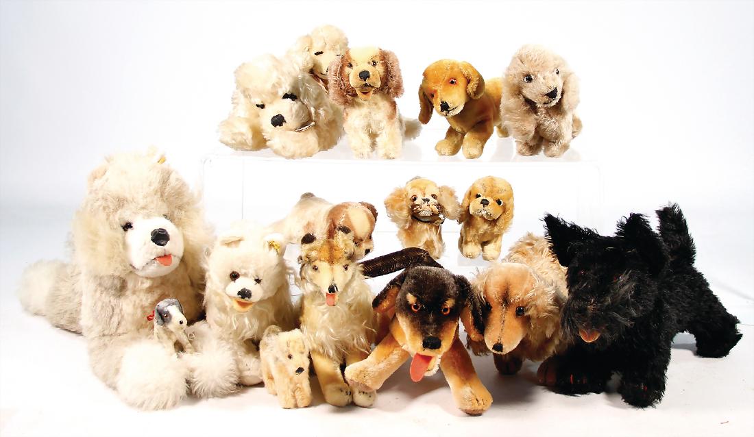 Konv. 17 Plüsch-Hunde, meist STEIFF, darunter Floppy,: Konv. 17 Plüsch-Hunde, meist STEIFF, darunter Floppy, Snobby, mit Knopf, Schild u. Fahne, Nr. 7328.04, Gr. zwischen 10 u. 46 cm German Description Konv. 17 Plüsch-Hunde, meist STEIFF, darunter Flopp