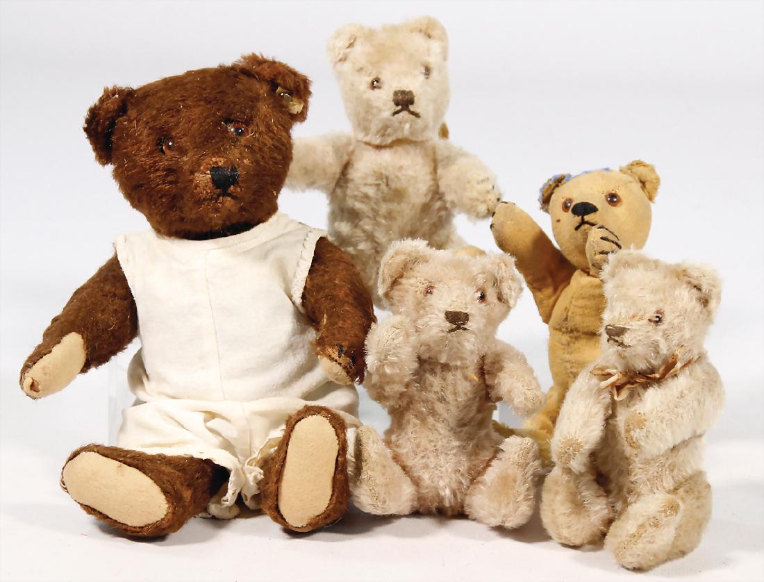 STEIFF 5 Bären, bespielt, 4x ohne Knopf, Gr. 13-19 cm, (1 of 1)