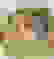 item-72818006=3