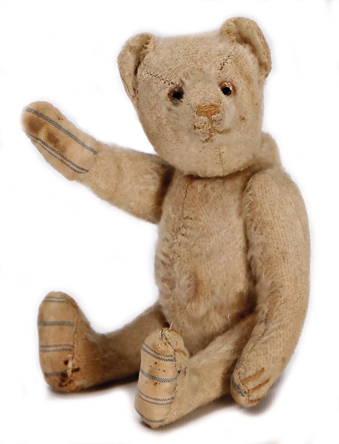 STEIFF bear, 21 cm, '30s, without button, white, long (1 of 1)