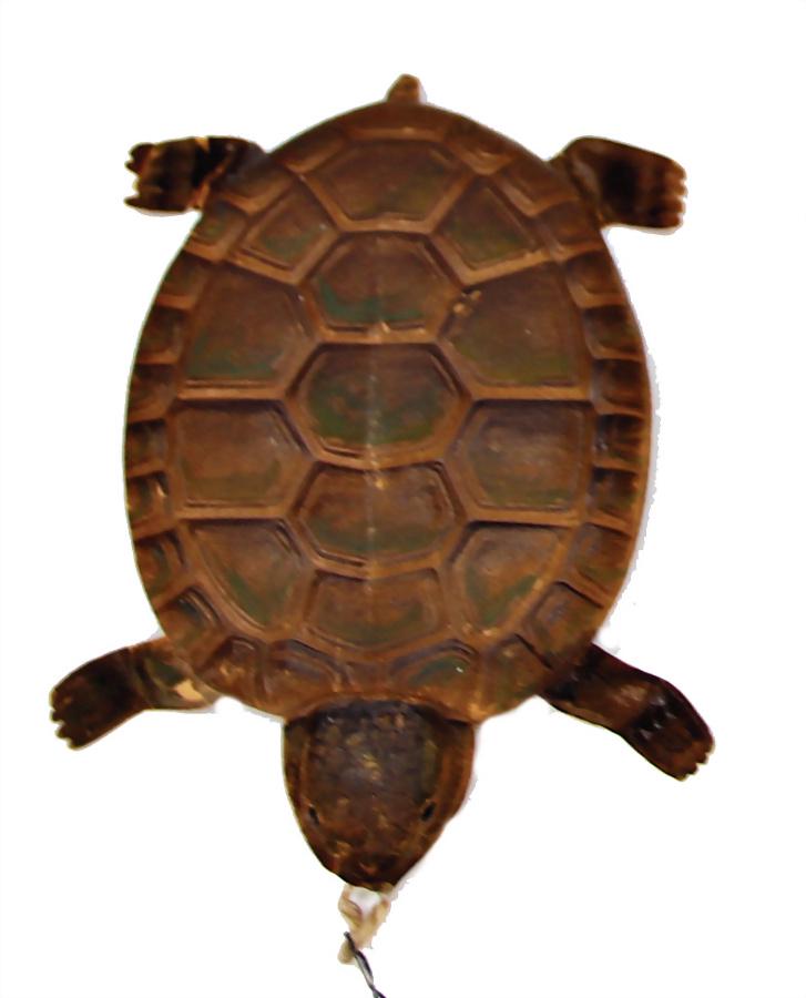 DRESDEN CARDBOARD Christmas tree decoration, turtle, 9 (1 of 1)