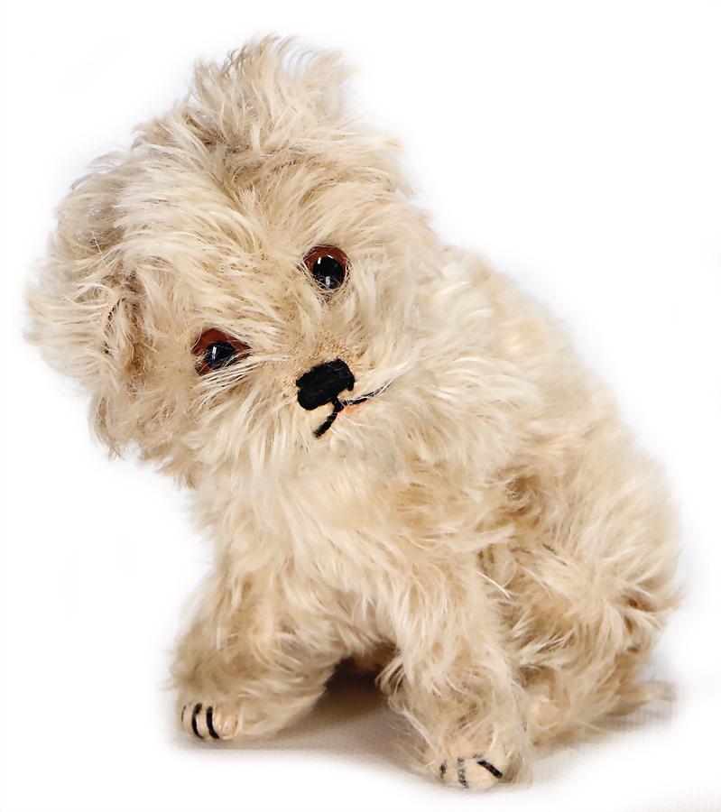 STEIFF Molly, sitting, long mohair, slightly faded,: STEIFF Molly, sitting, long mohair, slightly faded, without button and cloth tag label, seat height: 16 cm, swivel head German Description STEIFF Molly, sitzend, Langmohair, etwas ausgeblichen, ohne K