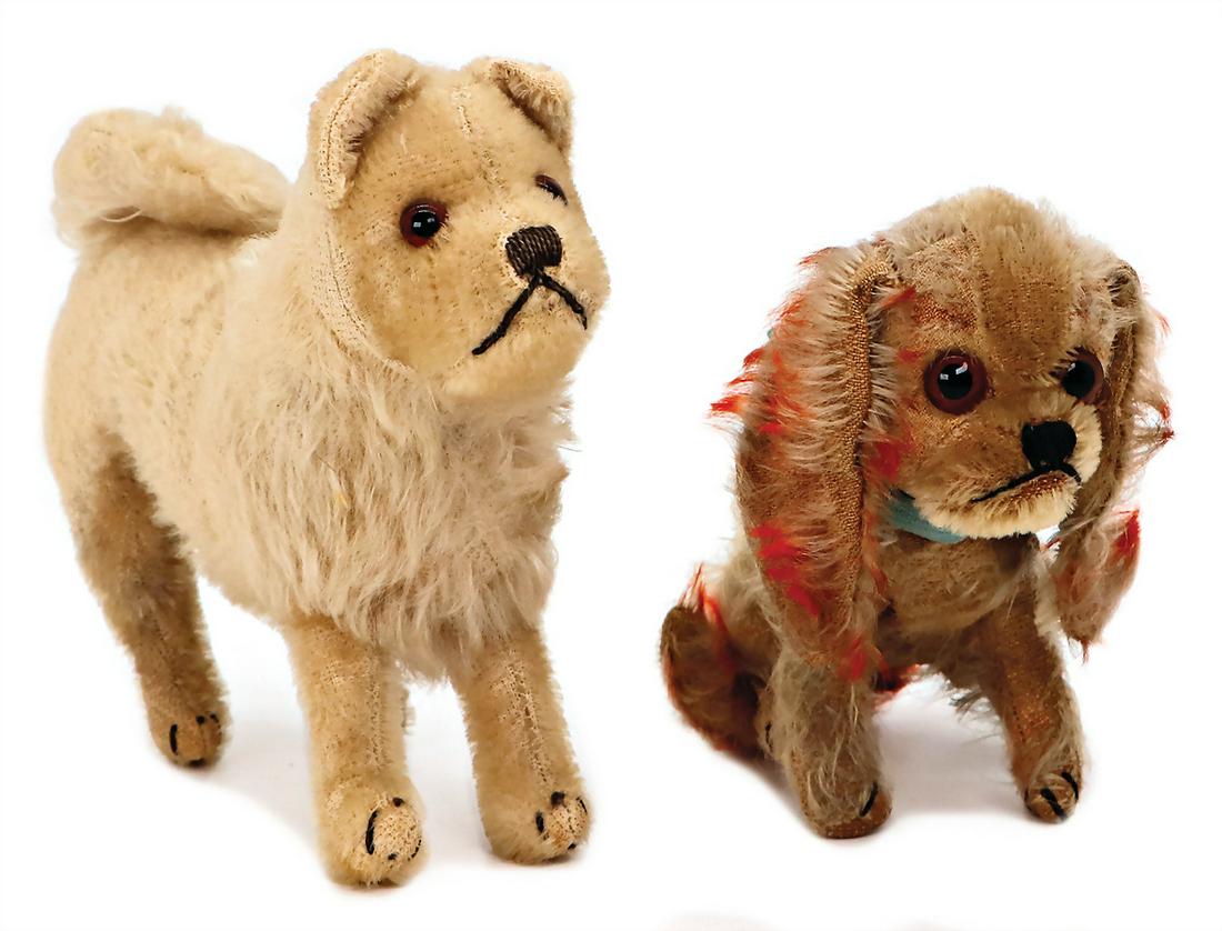STEIFF dog, Chow-Chow, blank, produced 1928-32, worn condition, standing, stronger mohair loss, (1 of 4)
