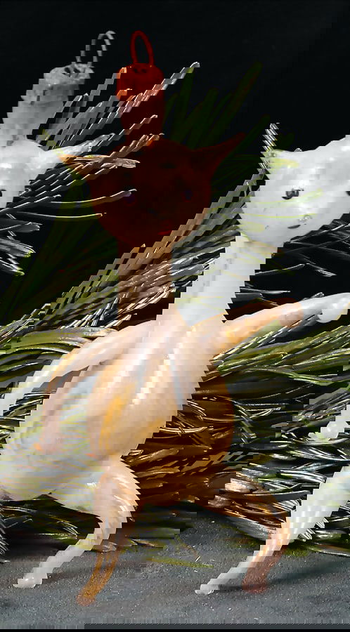 LAUSCHA Christmas tree decoration, exceptional cat, 10.5 cm   German Description  LAUSCHA (1 of 1)