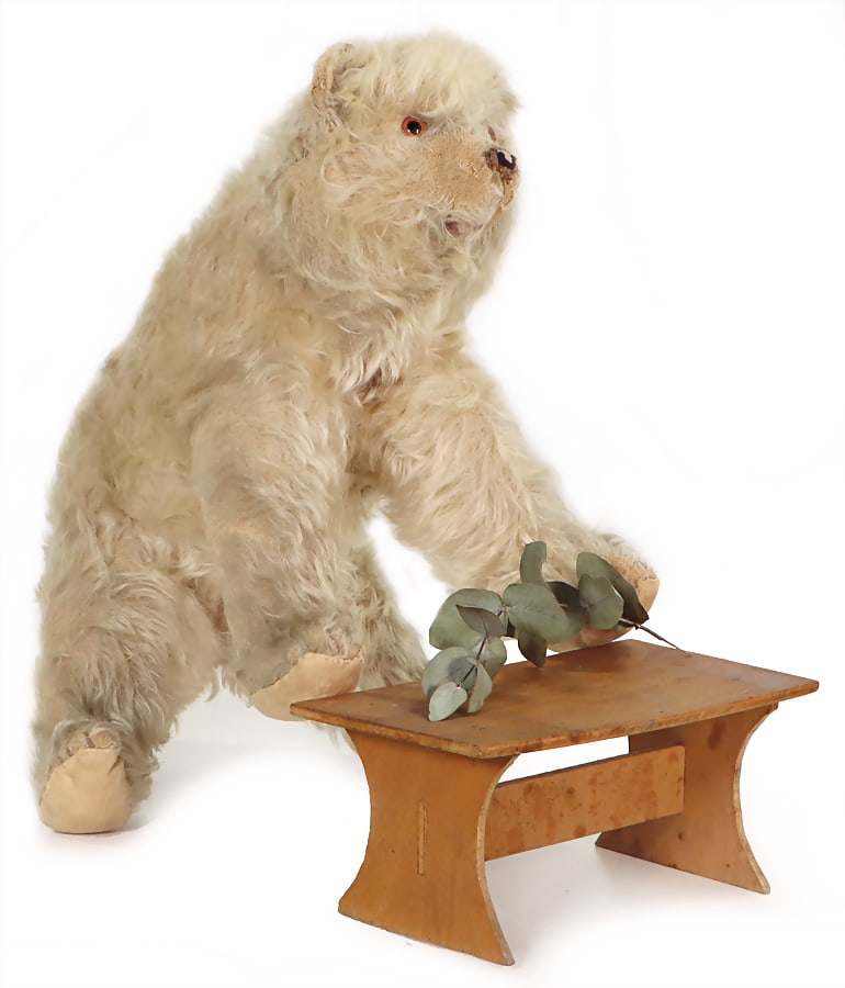 STEIFF shaggy bear, produced 1914-27, with button, block letters, long trailing f, height: 23 cm, (1 of 5)