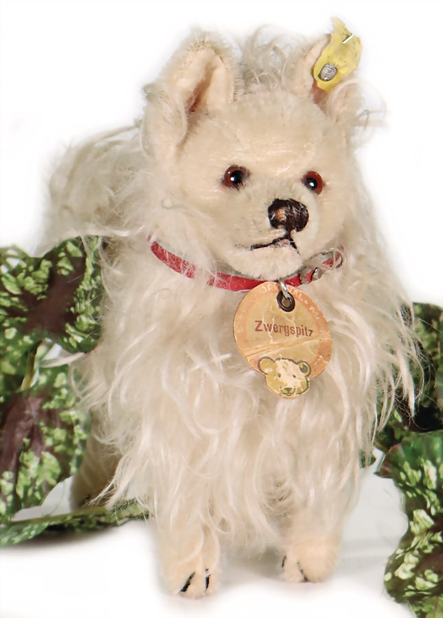 STEIFF dog, pre-war, dwarf spitz, 18 cm, with button, shield and flag, dark red lettering, shield a (1 of 4)