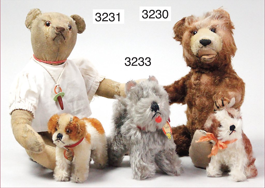 STEIFF, bear, c. 1920, 32 cm, long snaped off arms, hum: STEIFF, bear, c. 1920, 32 cm, long snaped off arms, hump, strongly worned, paws were over sewed German Description STEIFF Bär, ca. 1920, 32 cm, lange abgeknickte Arme, Buckel, stark abgeliebt, Tatzen