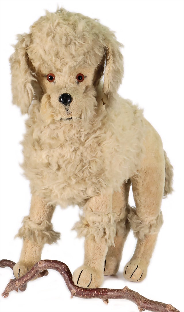 STEIFF poodle, produced in 1947, with button, printed letters, yellow flag No.: 1550,02, glass eyes, (1 of 3)