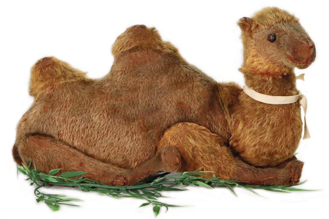 STEIFF beloved camel, made around 1909-1912, with f.K., large shoe button eyes, rust-red mohair, h: (1 of 6)