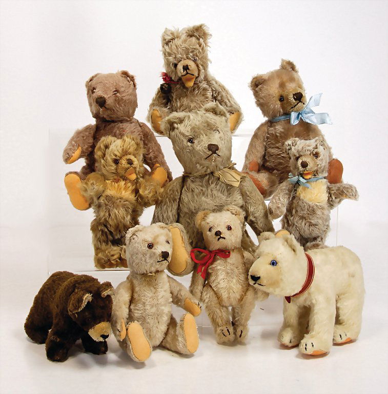 STEIFF Konv. 10 Bären, bespielt, davon 1 Bär mit Knopf, (1 of 1)