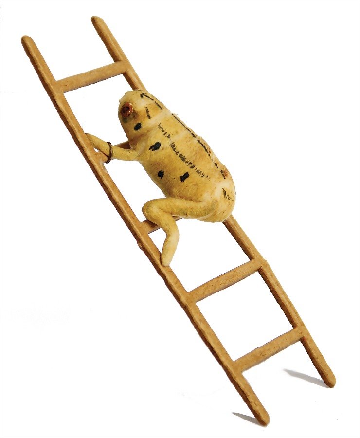 Christmas tree decoration, cotton wool, frog on (1 of 1)