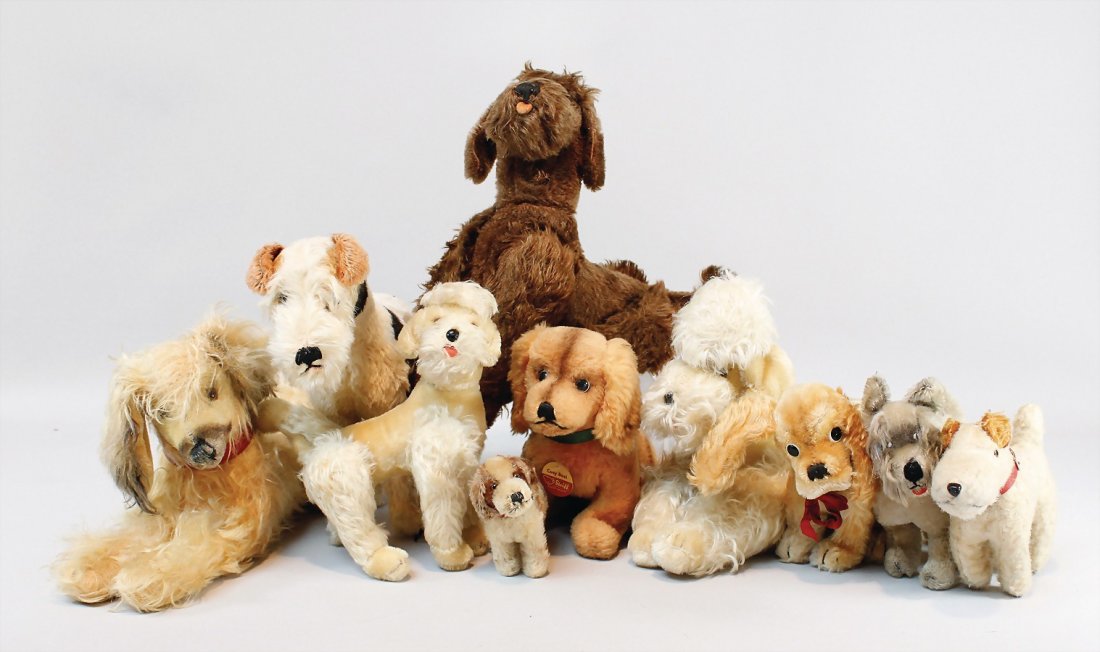Konv. 26 Plüschhunde, meist Steiff, Hermann u. (1 of 1)