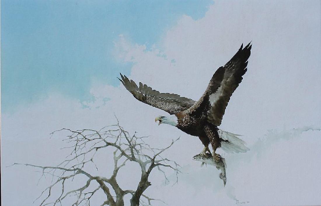 JAN WILLS SUPERB PAINTING OF EAGLE & TROUT: WILLS, Jan, (American, 1928-2000): American Bald Eagle in Flight with a Trout in its Talons, Photo Realist Watercolor, sight size 14.5'' X 23.25'', signed lower right and dated 89', custom frame 24'' 