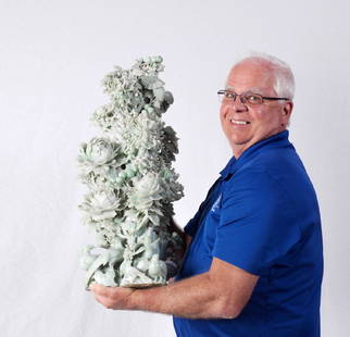 LARGE CARVED JADEITE FLOWERS BIRDS FIGURAL GROUP: LARGE CHINESE CARVED JADEITE FLOWER AND BIRDS FIGURAL GROUP: Apple green and white carved jadeite or similar stone grouping of chrysanthemums, peonies, and other flowers with figural birds at base. 