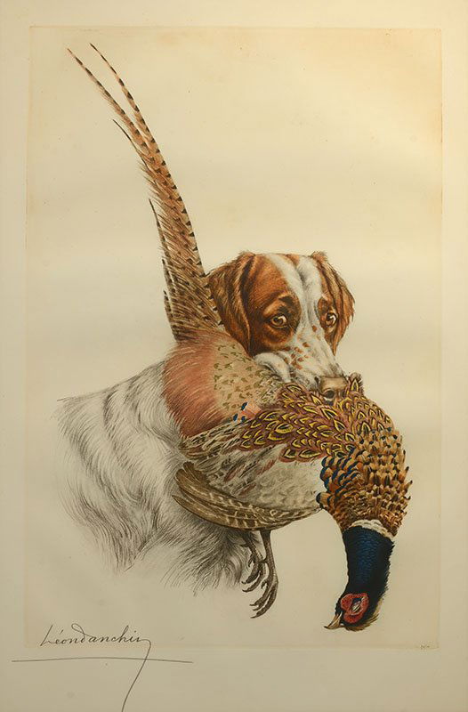 LEON DANCHIN ETCHING SPANIEL WITH PHEASANT: DANCHIN, Leon (French, 1887-1938): Spaniel with Pheasant, Color Etching, sight size 26.5" x 17.5", pencil signed lower left, numbered edition of 500 lower right, framed 35" x 26".