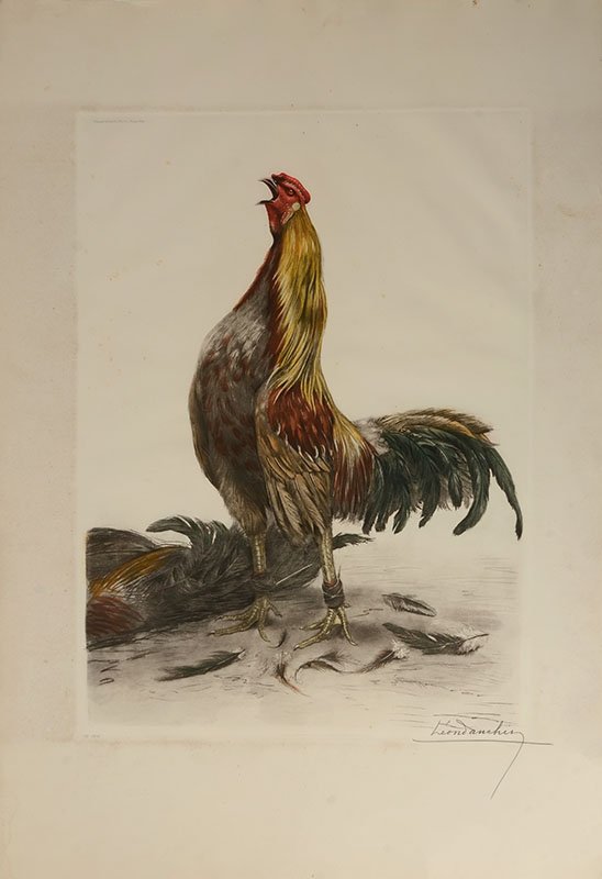 LEON DANCHIN ROOSTER CROWING ETCHING: DANCHIN, Leon (French, 1887-1938): "Rooster Crowing", Color Etching, 35.25" x 25" with margins, impression size 24" x 18.5", pencil signed lower right, numbered 207/500 and titled lower left corner #1